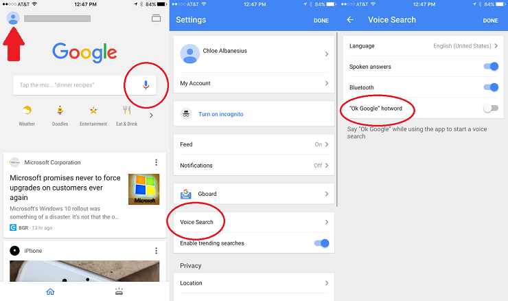 Google iOS Voice Search Settings