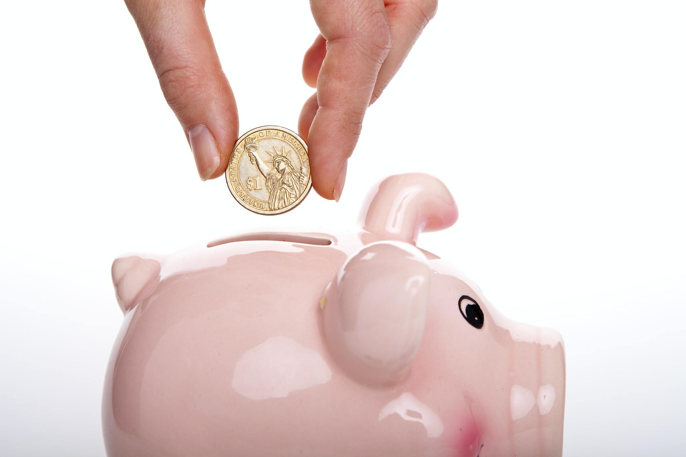 Person putting coin in pig shaped bank