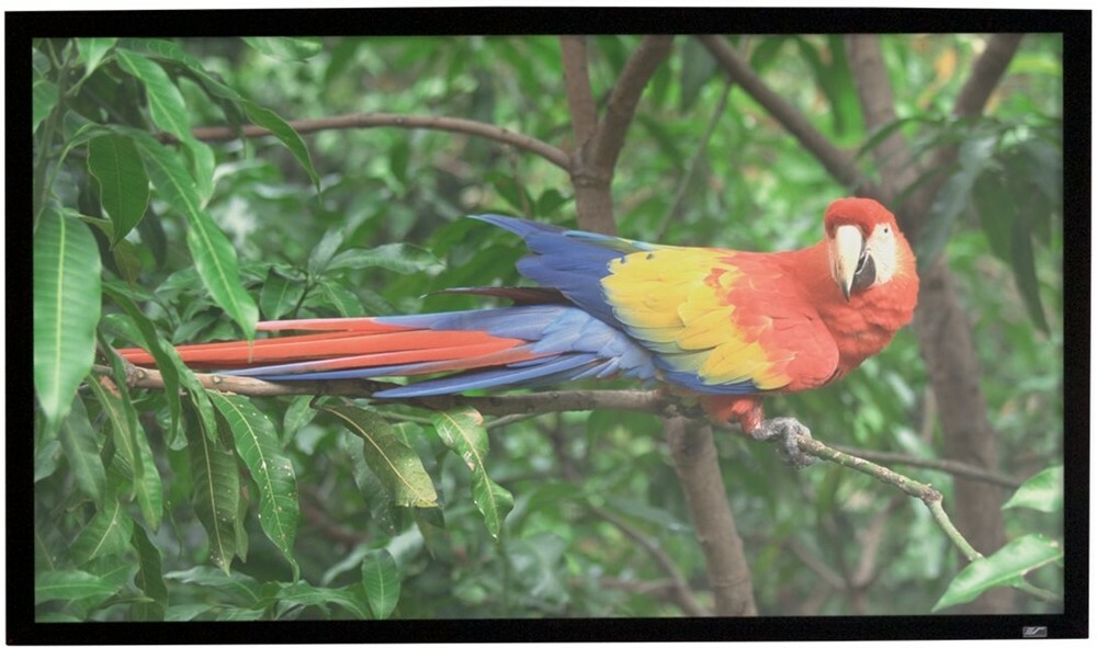 Elite Screens CineGrey 5D