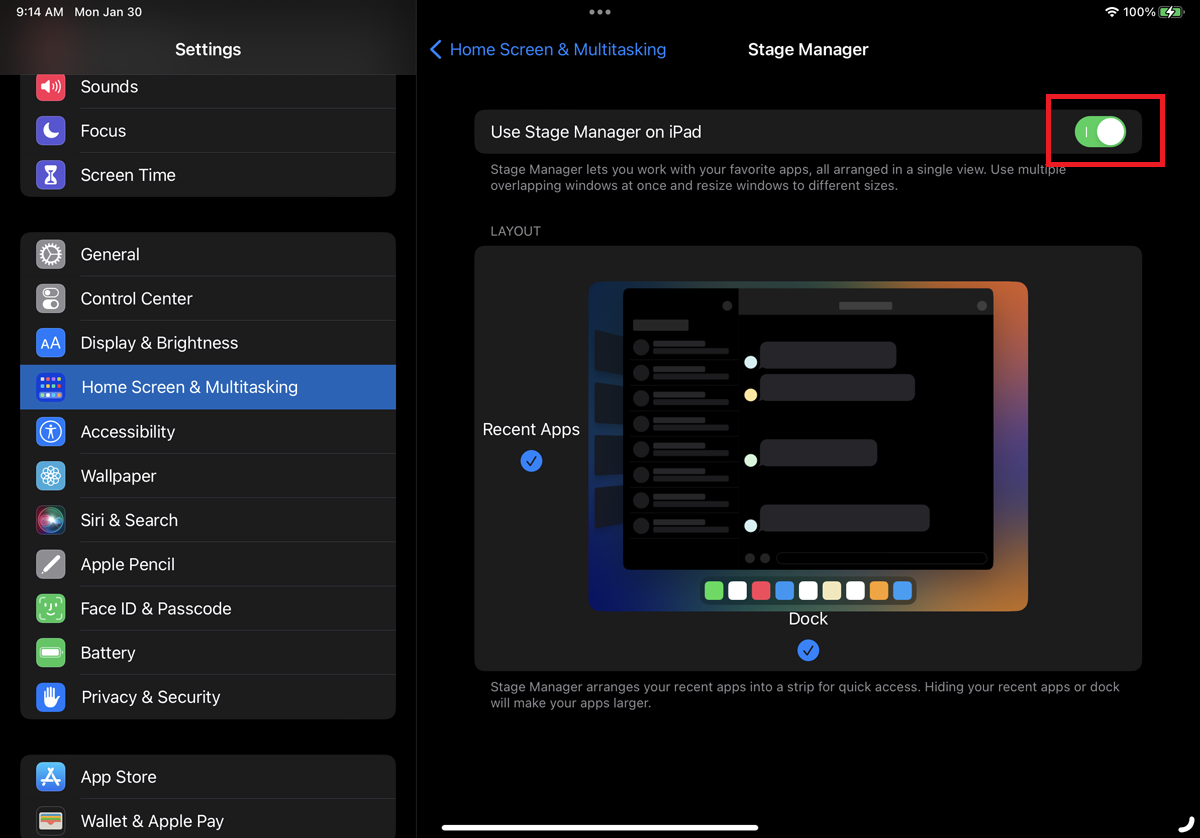 Turn on the switch for Use Stage Manager on iPad