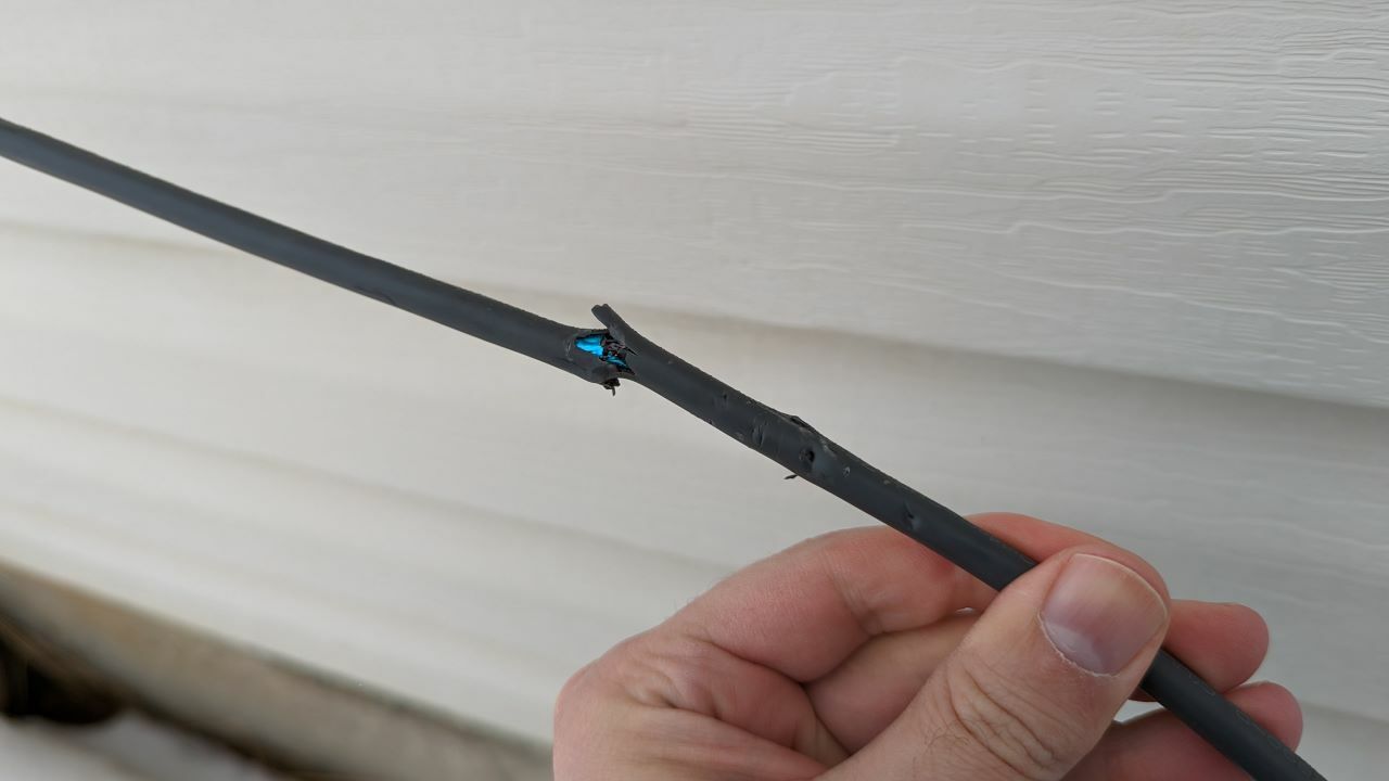 Starlink cable with dog-inflicted damage