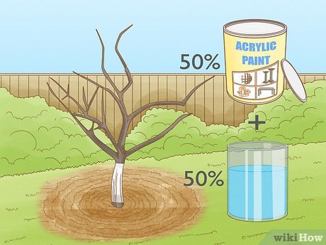 Image titled Prune Citrus Trees Step 15