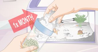 Control an Algae Bloom