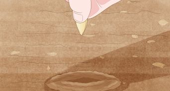 Cross Pollinate Different Vegetables to Create Hybrids