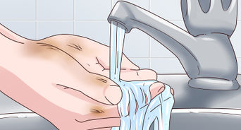 Feed Wild Baby Ducks