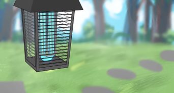 Get Rid of Flies Around Your Dog's Water and Food Bowls