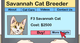 Identify a Savannah Cat