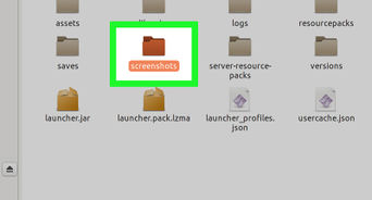 Look at Minecraft Screenshots