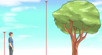 Measure the Height of a Tree