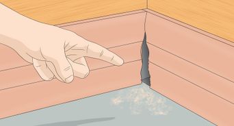 Tell What Animal Is in My Wall