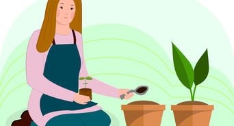 Discover Your Talents