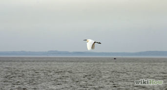 Understand and Develop Insight