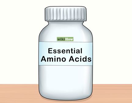 2 - Make a Workout Plan