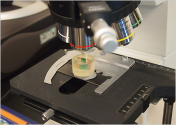 Examining a Broken Piece