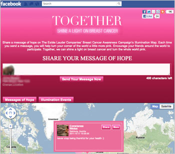 Estée Lauder Facebook App