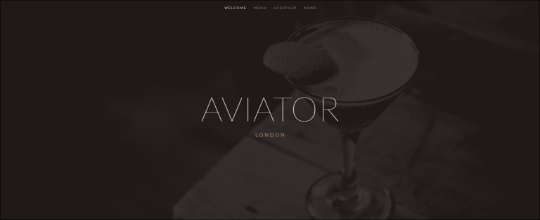 Aviator Image