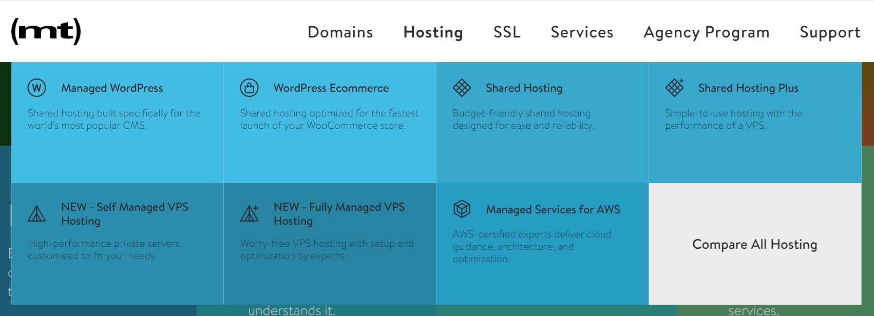 Media Temple's plans