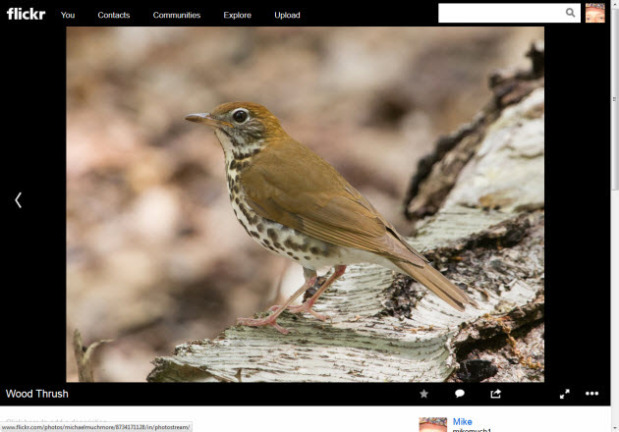 3.	A Better Photo Page