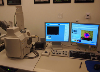 Scanning Electron Microscope