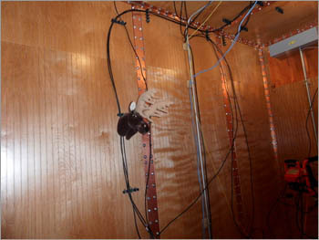 Sprint RF Chamber Moose