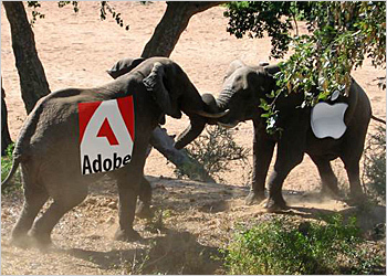 Apple vs. Adobe 