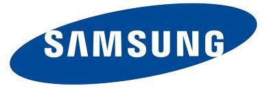 Samsung Memory Chip