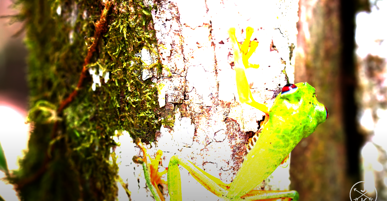 HDR blown-out image capture