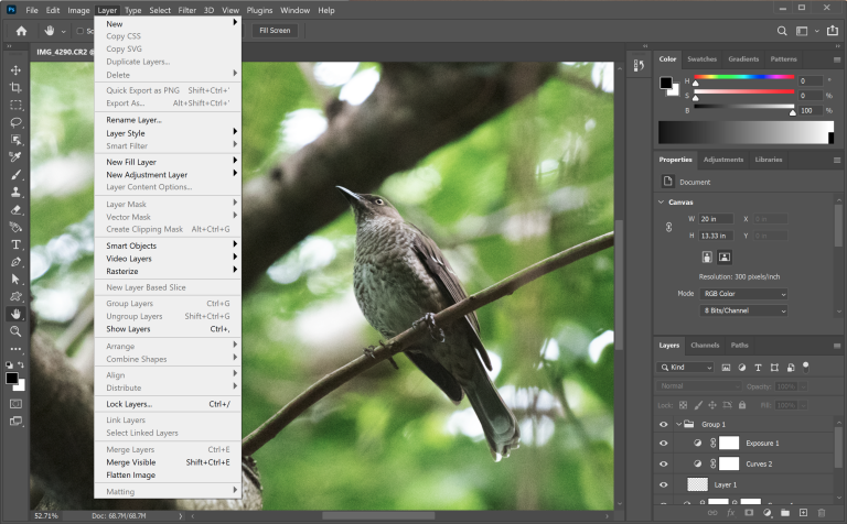 Adobe Photoshop PCMag review