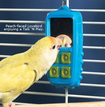 Talk 'N Play Bird Toy