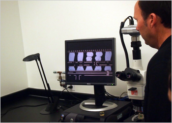 Finding the Missed Connection