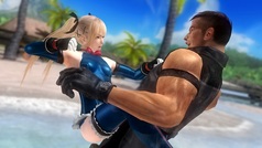 Dead or Alive: Last Round (for PC)