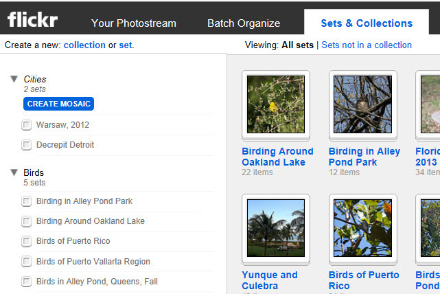 8. Everybody Gets Collections