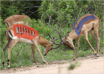 Netflix vs. Blockbuster