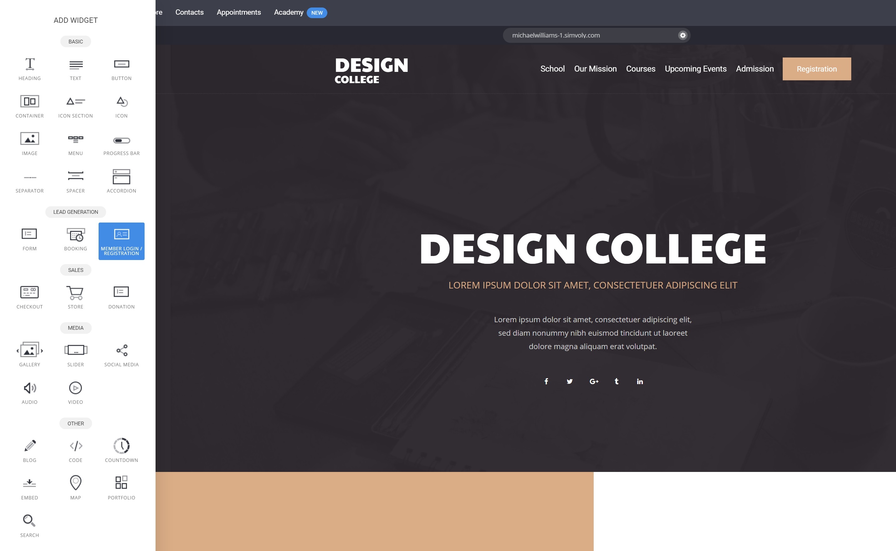 There's no third-party widgets in Simvoly