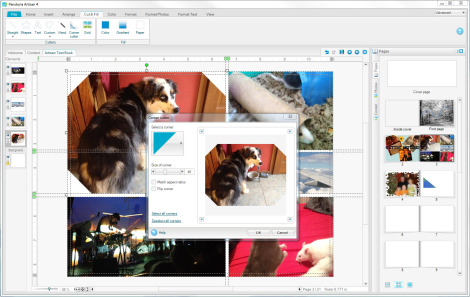 Panstoria Artisan 4 (for Windows)