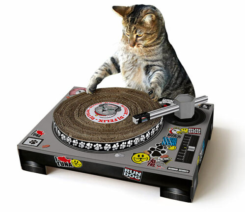 Cat Scratch DJ