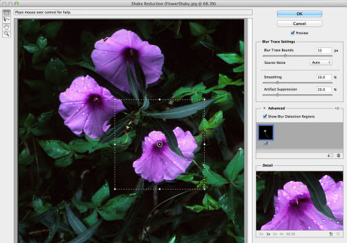 Photoshop CC: Camera Shake Reduction