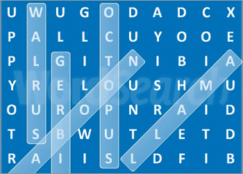 Word Search