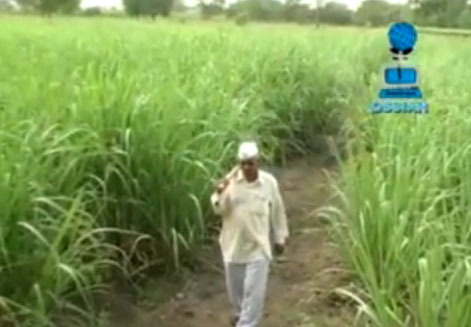 Going Further Afield