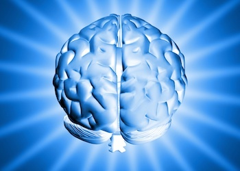 Cell Phones Cause Brain Cancer