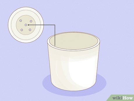 Image titled Care for a Money Tree Step 11