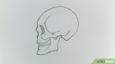 Image titled Draw a Skull Step 19