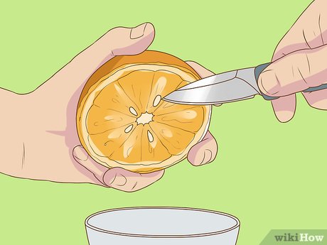 Image titled Germinate Orange Seeds Step 1