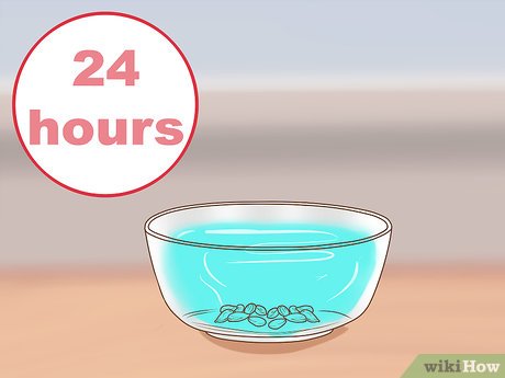 Image titled Germinate Orange Seeds Step 3