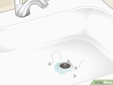 Image titled Get Rid of Drain Flies Step 12