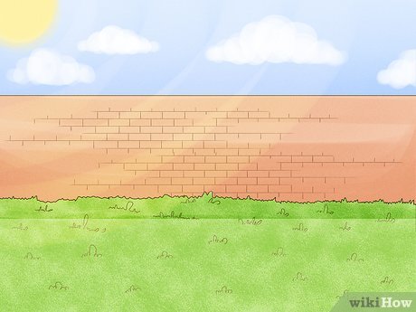 Image titled Grow Chamomile Step 10