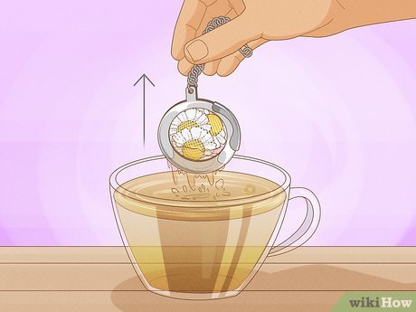 Image titled Grow Chamomile Step 27