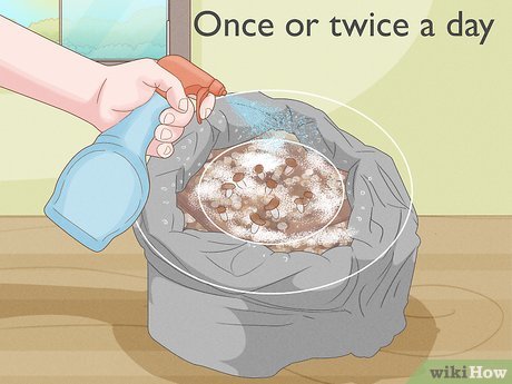 Image titled Grow Mushrooms Step 8