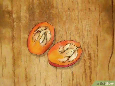 Image titled Grow Roses from Seed Step 3