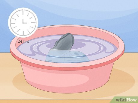 Image titled Grow a Chia Pet Step 1